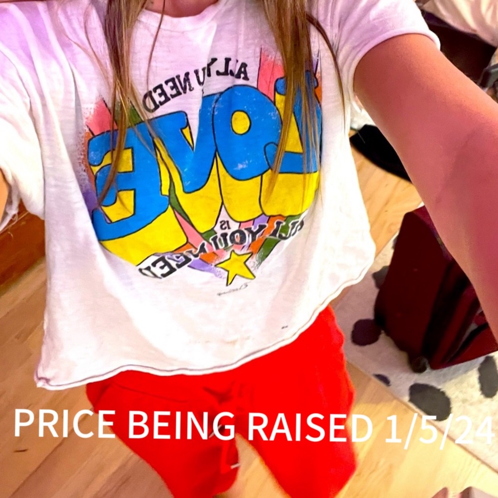 Vintage beetles shirt
